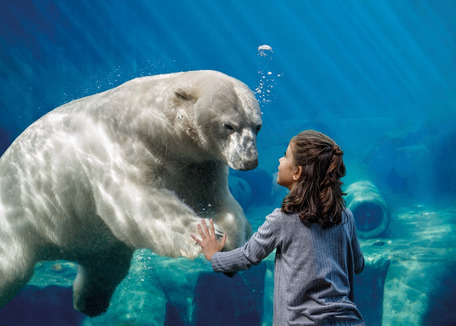 Erlebnis Zoo in Hannover mit Übernachtung