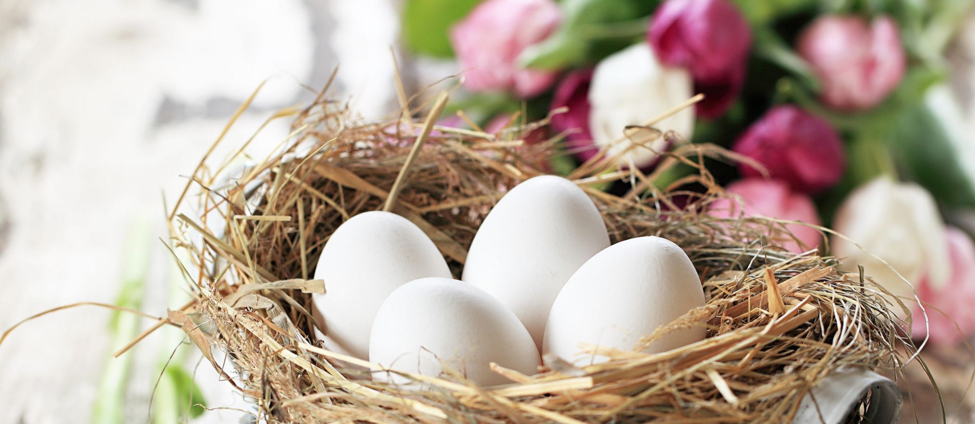 Osterbrunch im Parkhotel Kronsberg in Hannover