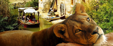 Erlebnis Zoo in Hannover mit Übernachtung