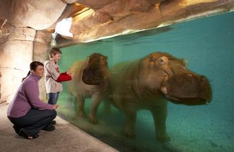 Erlebnis Zoo in Hannover mit Übernachtung