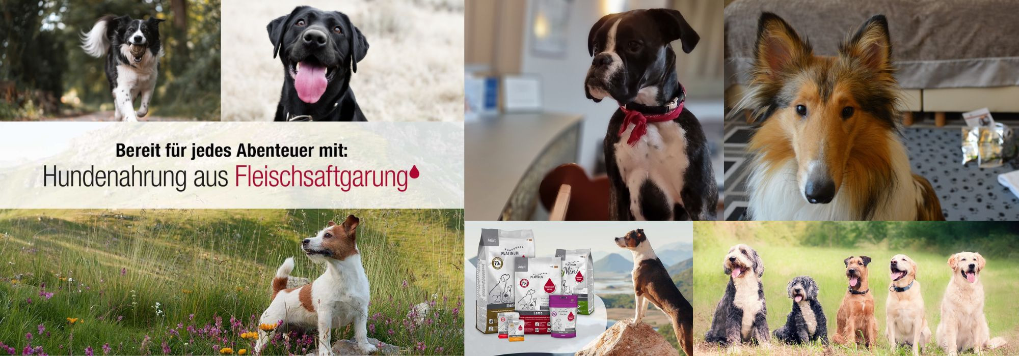 PLATINUM Hundenahrung